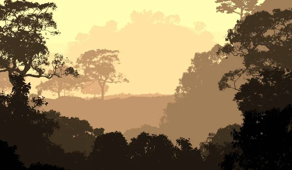 Streszczenie Mgne Drzewa Leśne Teksturowane Tło — Zdjęcie stockowe