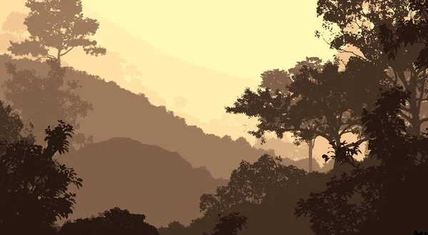 Abstraktní Mlhavé Lesní Stromy Pozadí Texturou — Stock fotografie