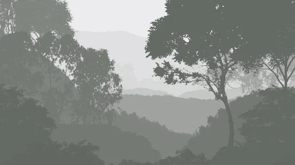 Abstract Silhouetted Backdrop Misty Hills Woods — Stock Photo, Image