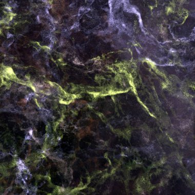 Ormanda güzel bir şelale