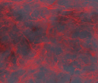 metin için alan ile renkli mermer doku ile soyut arka plan