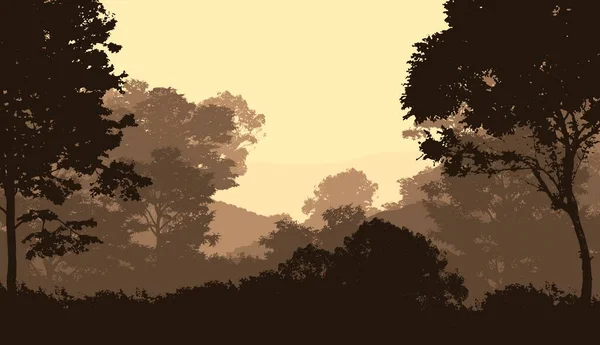 Streszczenie Sylwetki Mglistych Wzgórz Lasów — Zdjęcie stockowe