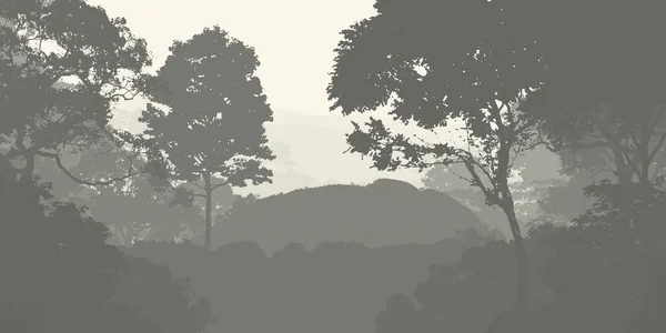 Abstract Silhouetted Backdrop Misty Hills Woods — Stock Photo, Image