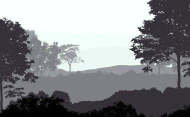 sis ve pus kaplı ağaçlar ile soyut siluetli arka plan