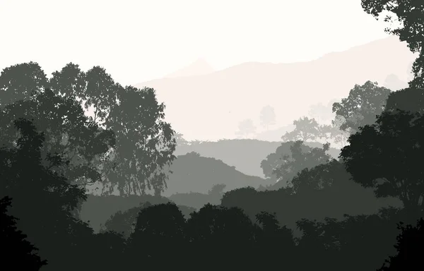 Abstrakter Silhouettierter Hintergrund Mit Bäumen Die Von Nebel Und Dunst — Stockfoto