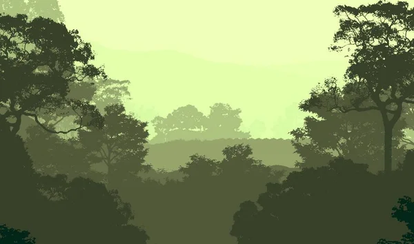 Abstrakter Silhouettierter Hintergrund Mit Bäumen Die Von Nebel Und Dunst — Stockfoto