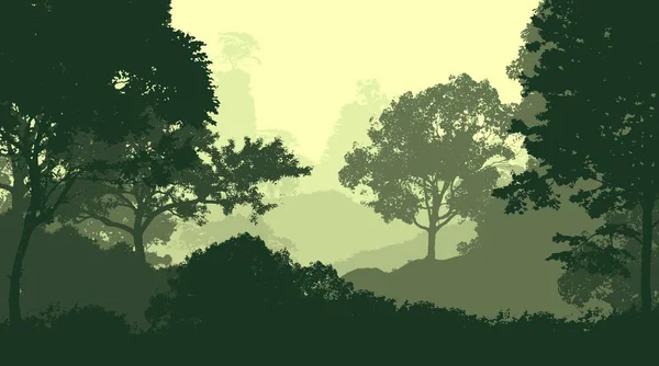Abstraktní Silueta Pozadí Stromy Pokrytou Mlhou Oparem — Stock fotografie
