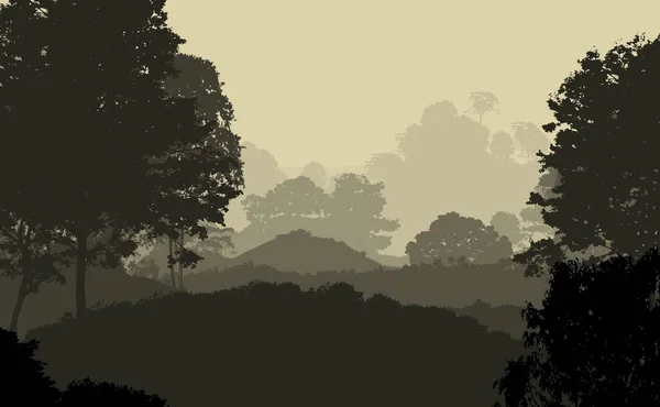 Абстрактний Фон Гір Деревами Вкритими Туманом — стокове фото