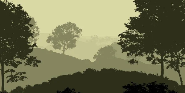 Абстрактный Фон Туманными Лесами — стоковое фото