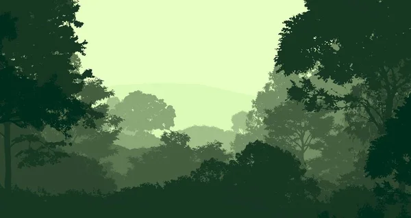 Abstrakt Bakgrund Med Hazy Forest Träd — Stockfoto