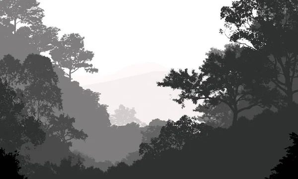 Abstrakt Bakgrund Med Hazy Forest Träd — Stockfoto