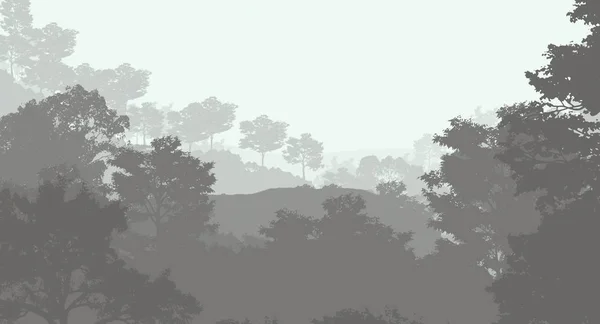 Abstract Background Hazy Forest Trees — Stock Photo, Image