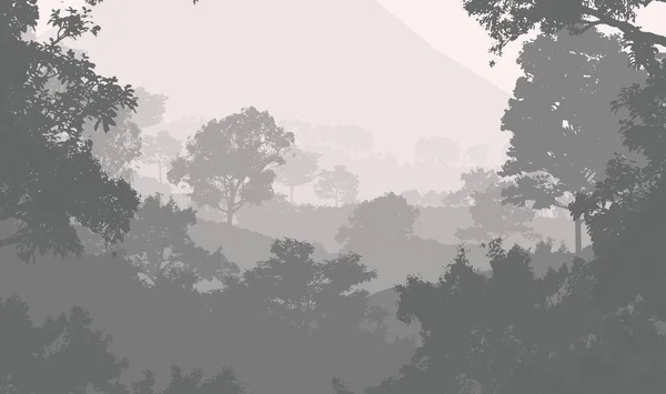 Fundo Abstrato Com Árvores Florestais Nebulosas — Fotografia de Stock