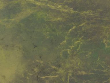 Renkli mermer desenli soyut arkaplan