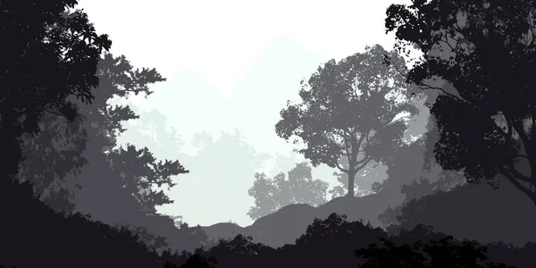 Sfondo Astratto Natura Con Alberi Nebbiosi Foresta — Foto Stock