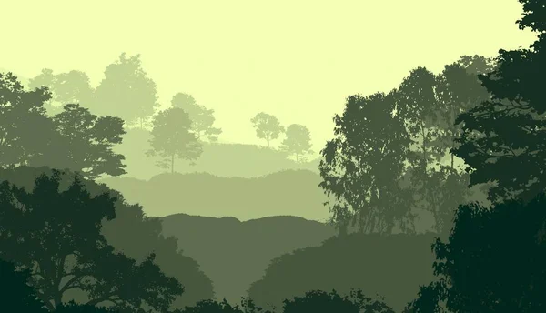 Fondo Abstracto Naturaleza Con Árboles Forestales Nebulosos —  Fotos de Stock