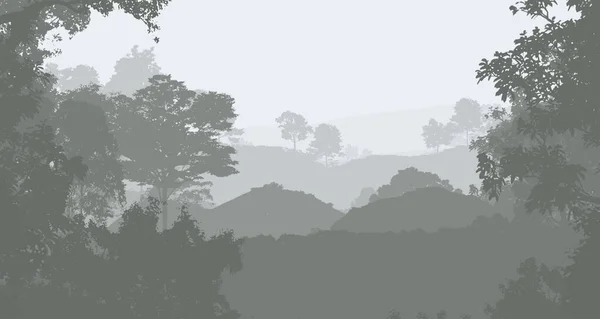 Abstraktní Přírodní Pozadí Mlhavou Lesními Stromy — Stock fotografie