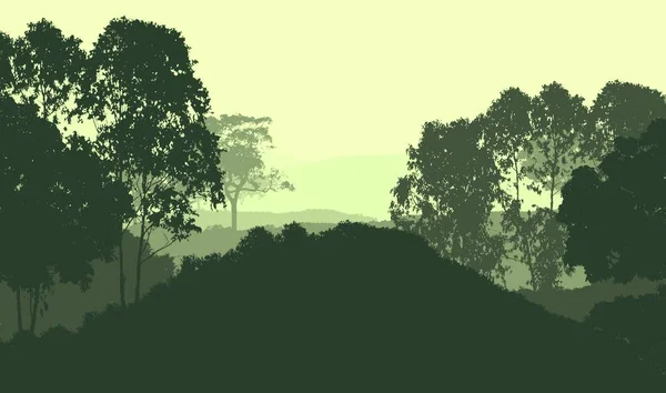 Abstrakte Natur Hintergrund Mit Nebligen Waldbäumen — Stockfoto