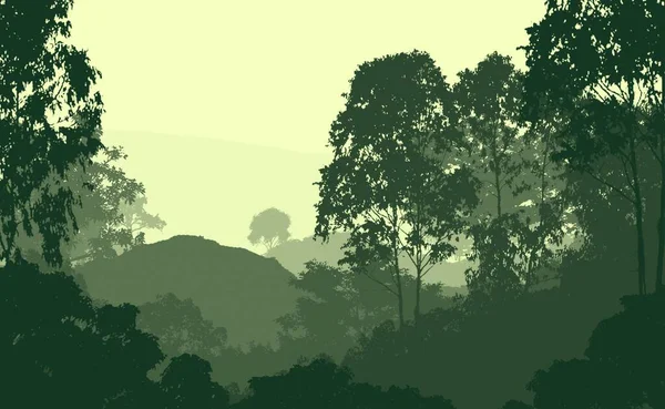 Abstrakte Natur Hintergrund Mit Nebligen Waldbäumen — Stockfoto