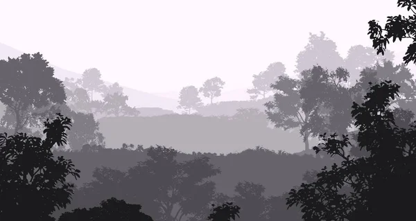 Абстрактный Природный Фон Туманными Лесами — стоковое фото