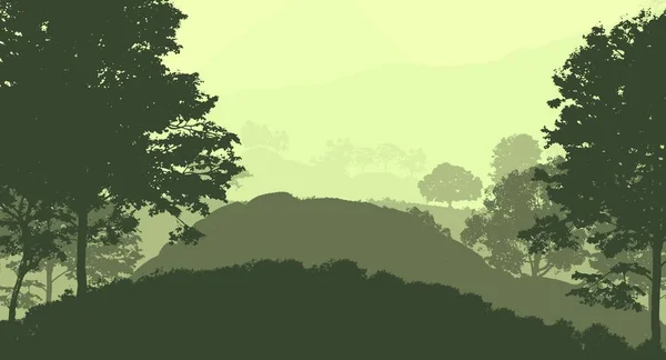 Fondo Abstracto Naturaleza Con Árboles Forestales Nebulosos — Foto de Stock