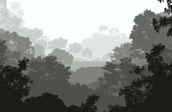 Абстрактный Природный Фон Туманными Лесами — стоковое фото