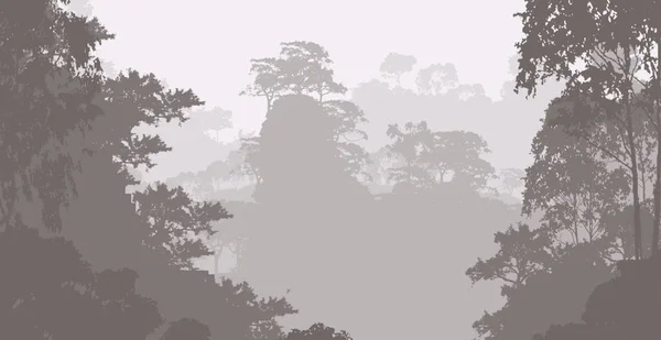 Abstrakt Natur Bakgrund Med Hazy Skogsträd — Stockfoto