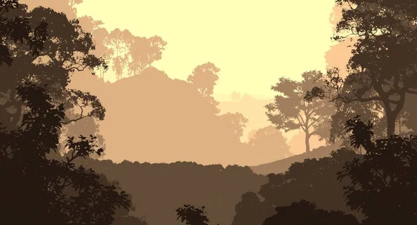 Absztrakt Természet Háttér Ködös Erdei Fák — Stock Fotó