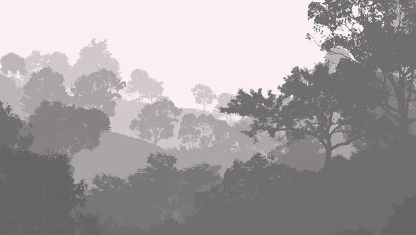 Abstraktní Přírodní Pozadí Mlhavou Lesními Stromy — Stock fotografie