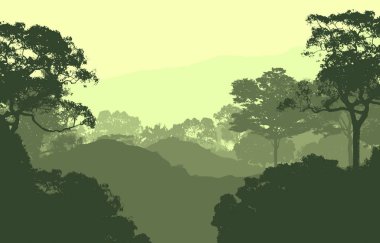 siluetli puslu orman ağaçları, doğal zemin 