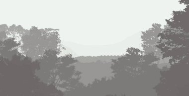 siluetli puslu orman ağaçları, doğal zemin 