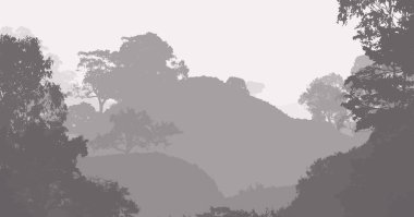 siluetli puslu orman ağaçları, doğal zemin 