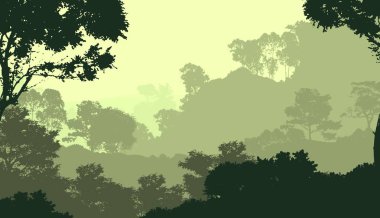 Bitki ve yeşilliklerle kaplı derin orman sisi ve tepeler.