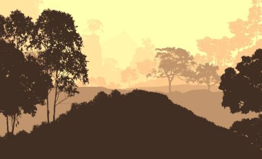 Bitki ve yeşilliklerle kaplı derin orman sisi ve tepeler.