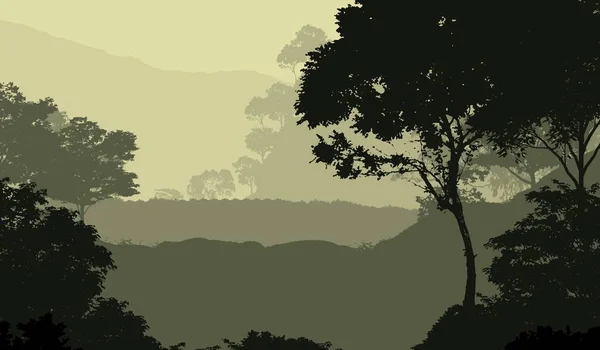 Afgetekend Wazig Bos Bomen Natuurlijke Achtergrond — Stockfoto
