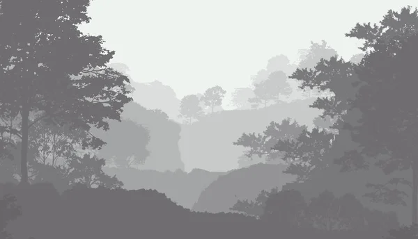 Силуетні Туманні Лісові Дерева Природний Фон — стокове фото
