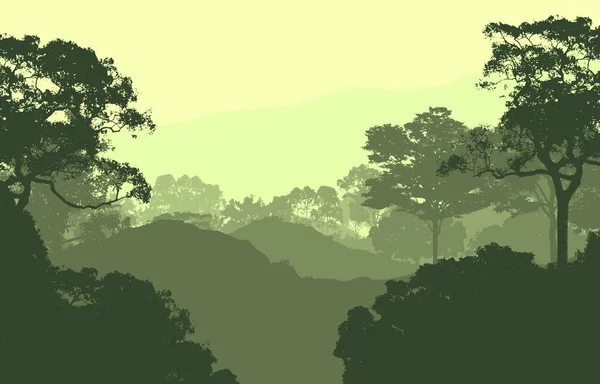 siluetli puslu orman ağaçları, doğal zemin 