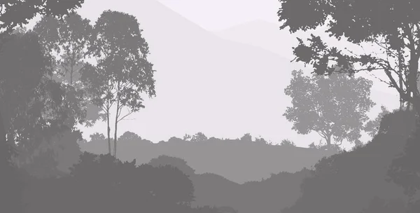 Силуэт Туманные Лесные Деревья Природный Фон — стоковое фото