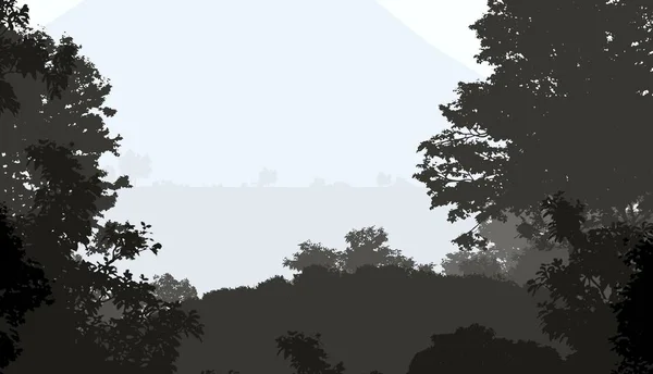 Afgetekend Wazig Bos Bomen Natuurlijke Achtergrond — Stockfoto