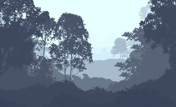 Силуэт Туманные Лесные Деревья Природный Фон — стоковое фото