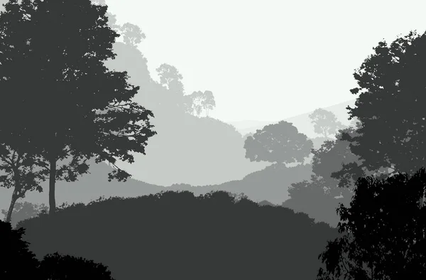Silhouette Nebelige Waldbäume Natürliche Kulisse — Stockfoto