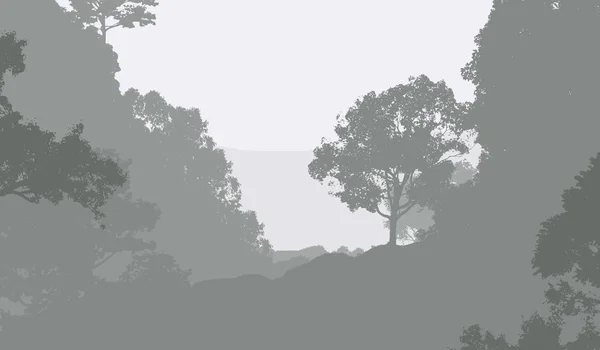 Arbres Forestiers Broussailleux Silhouettés Toile Fond Naturelle — Photo