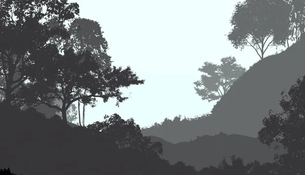 剪影朦胧的森林树木 自然背景 — 图库照片