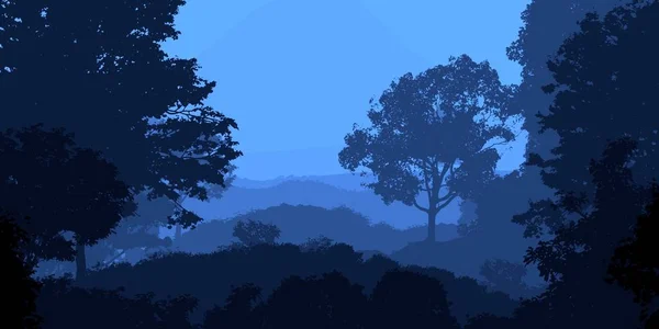 Silhouette Nebelige Waldbäume Natürliche Kulisse — Stockfoto