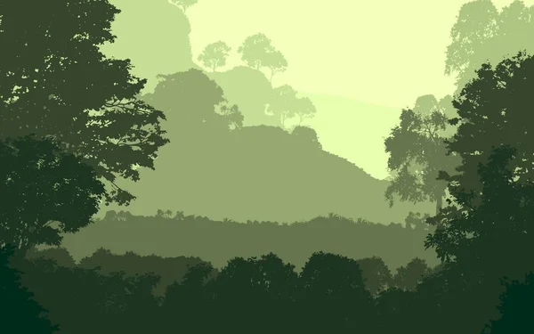 Árvores Florestais Nebulosas Silhuetas Pano Fundo Natural — Fotografia de Stock