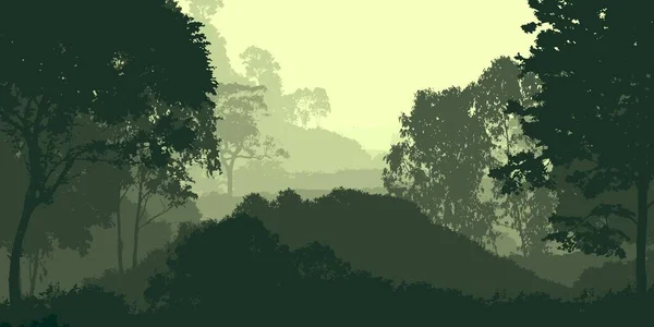 Sikonetted Hazy Forest Träd Naturlig Bakgrund — Stockfoto