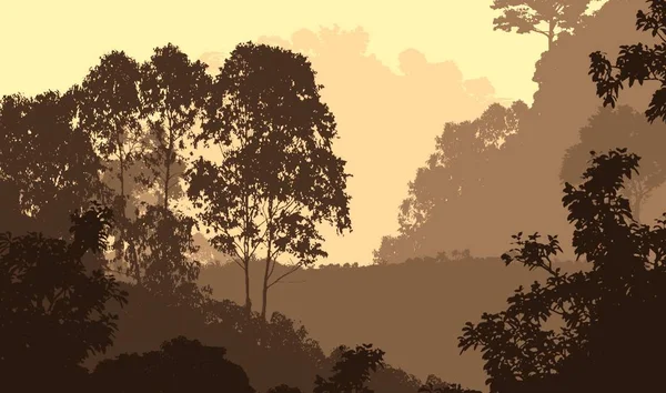 Sylwetki Hazy Drzew Leśnych Naturalne Tło — Zdjęcie stockowe