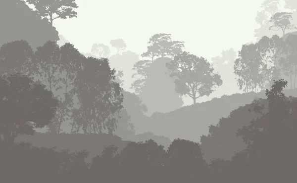 剪影朦胧的森林树木 自然背景 — 图库照片