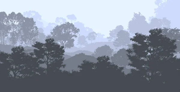 Глубокий Лесной Туман Холмы Покрытые Растениями Листьями — стоковое фото
