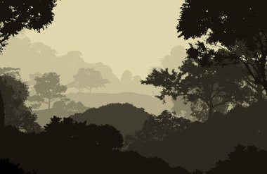 Bitki ve yeşilliklerle kaplı derin orman sisi ve tepeler.